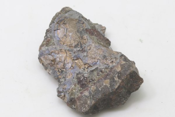 Nickeline - Image 2