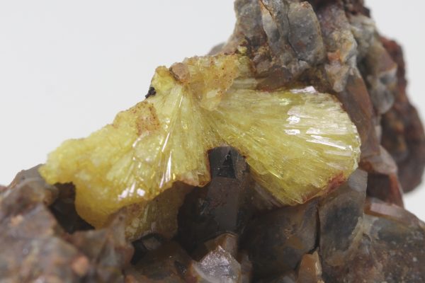 Legrandite