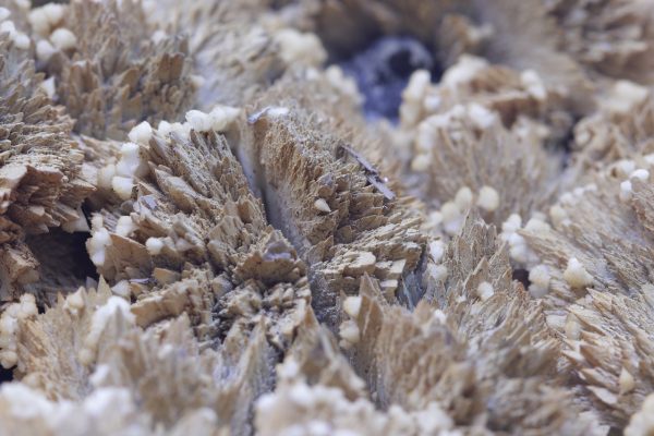 Sphalerite, dolomite - Image 4