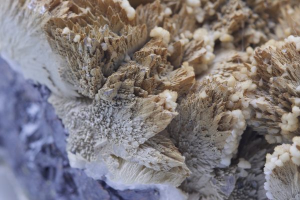 Sphalerite, dolomite - Image 5