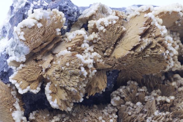 Sphalerite, dolomite - Image 3