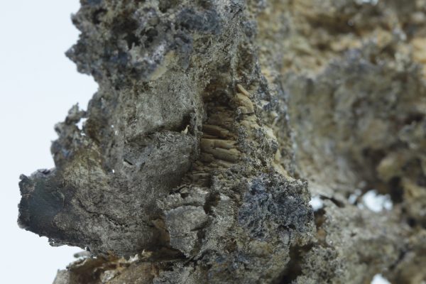 Silver - Image 12
