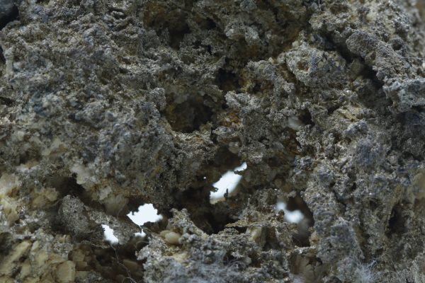 Silver - Image 14