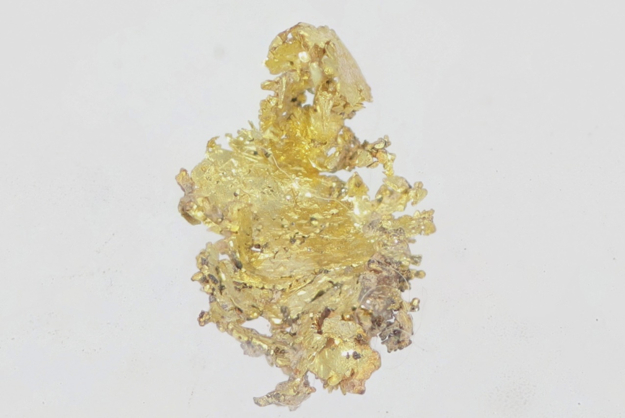 Gold - Image 8