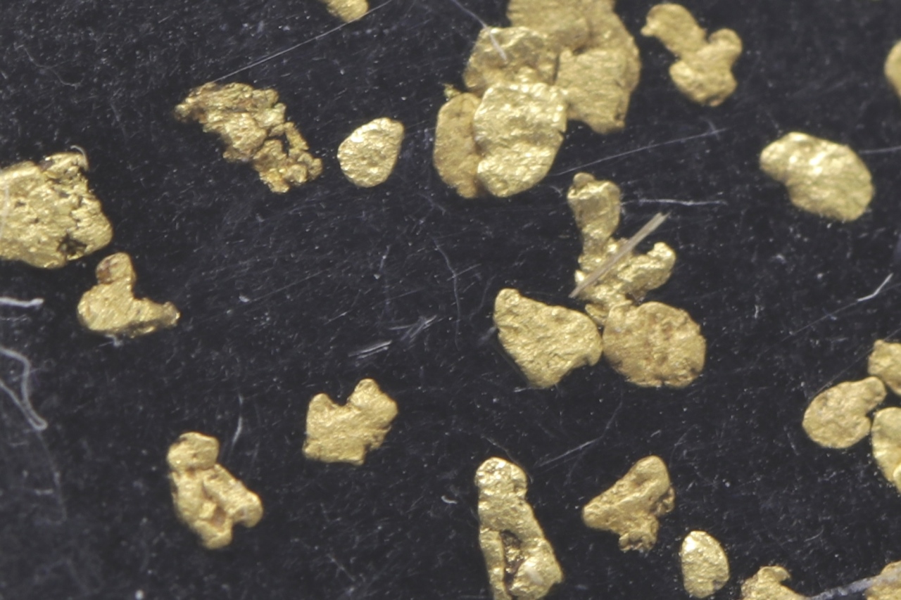 Gold - Image 4