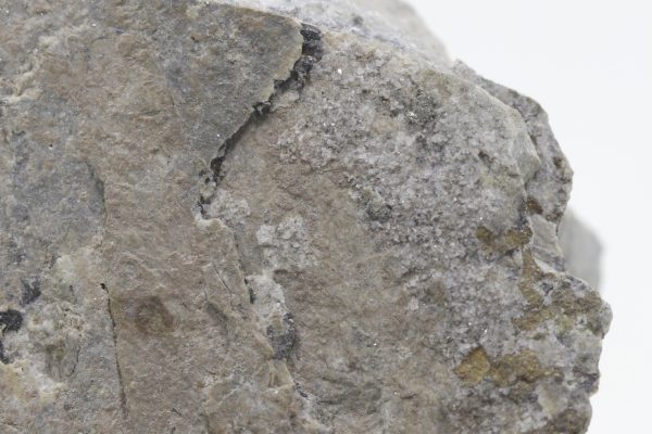 Sylvanite - Image 4