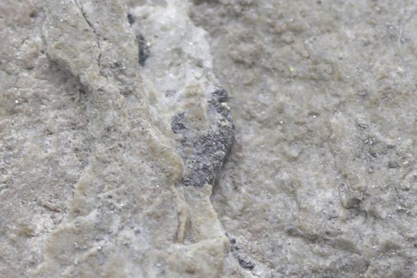 Sylvanite - Image 5