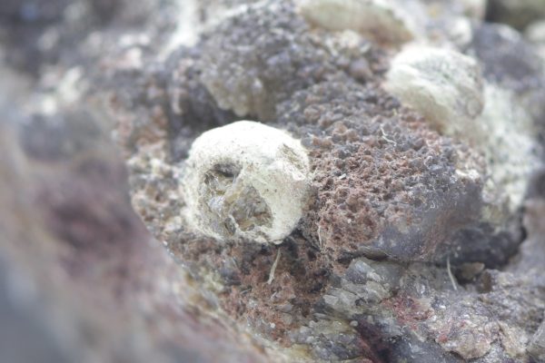 Eulytine, beyerite - Image 7