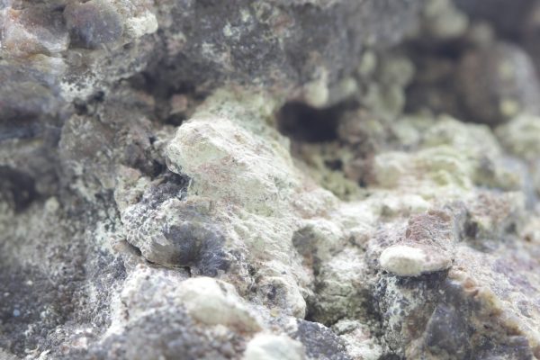 Eulytine, beyerite - Image 8