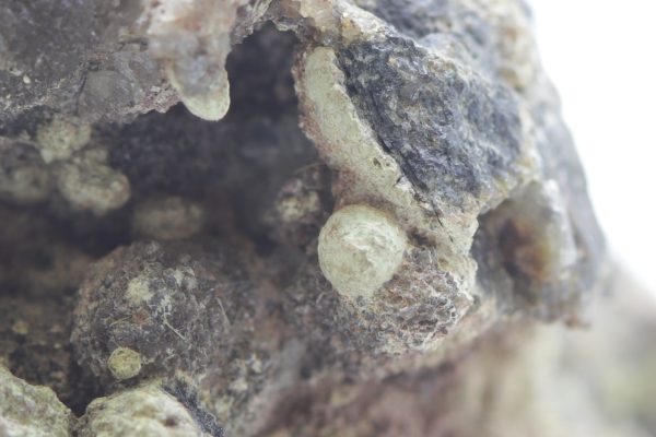 Eulytine, beyerite