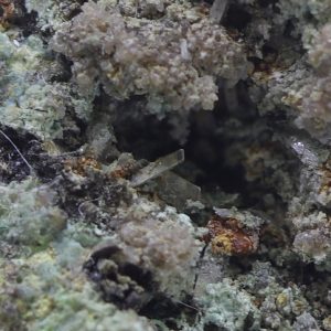 Walpurgite
