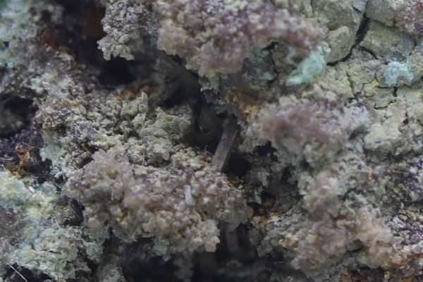 Walpurgite - Image 4