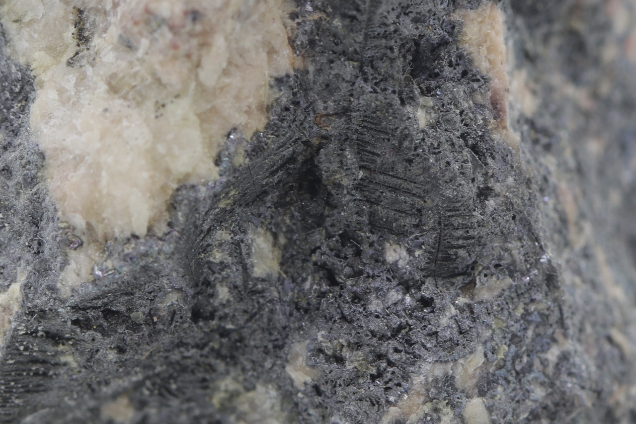 Skutterudite, rammelsbergite - Image 6