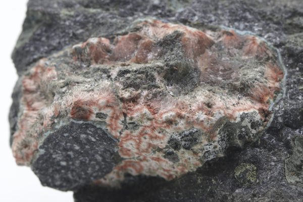 Mordenite