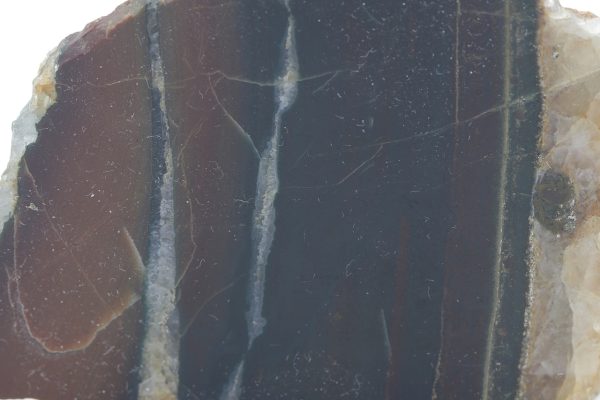 Jasper - Image 3