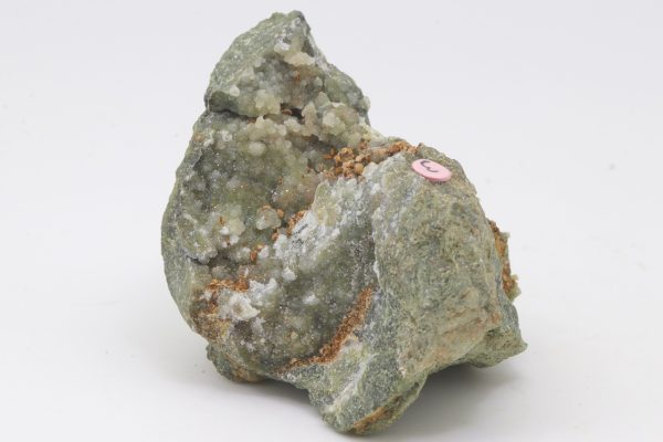 Plasma - Image 3