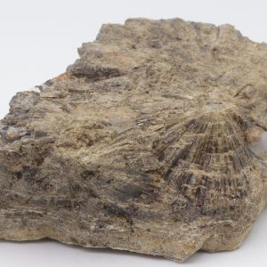 Vesuvianite