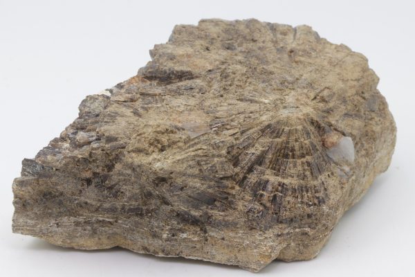 Vesuvianite