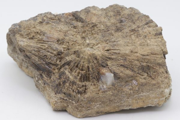 Vesuvianite - Image 2