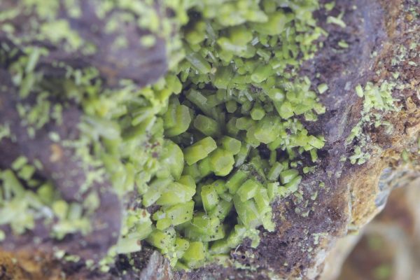 Pyromorphite - Image 10