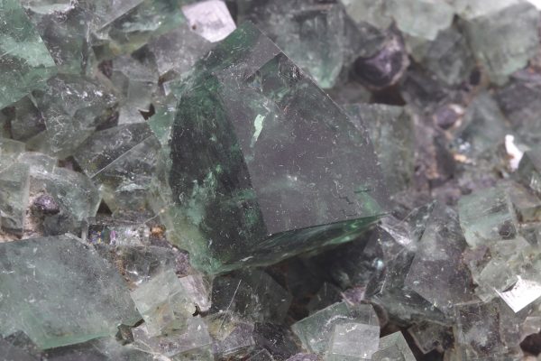 Fluorite - Image 6