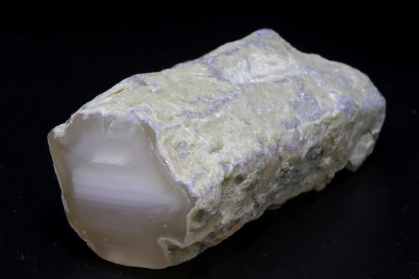 Agatized wood