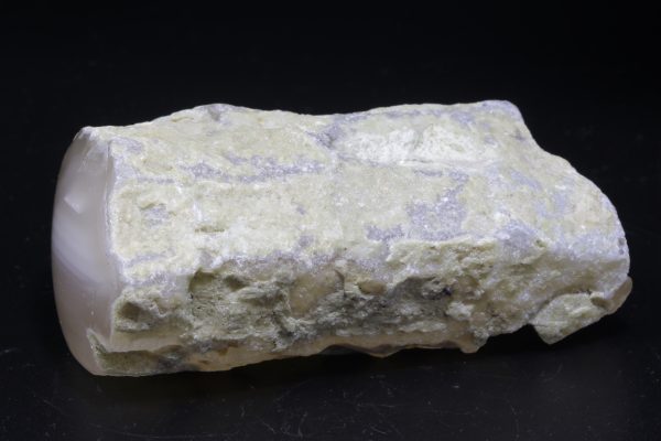 Agatized wood - Image 2