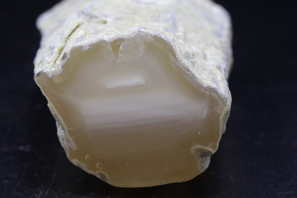 Agatized wood - Image 3