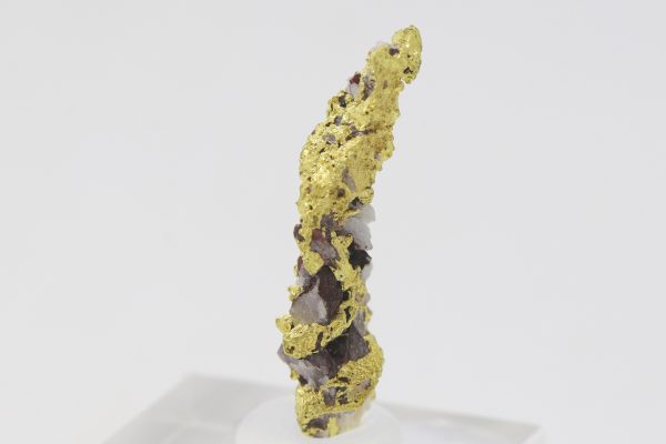 Zlato - Image 5