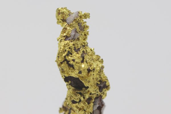 Zlato - Image 7