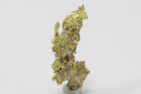 Gold - Image 3