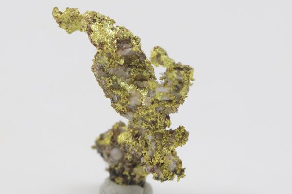Gold - Image 4