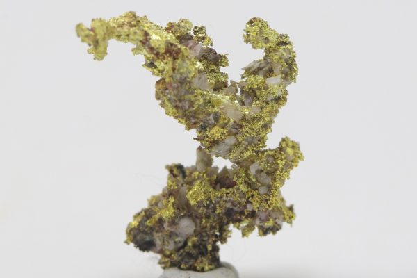 Gold - Image 5