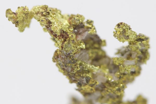 Gold - Image 6