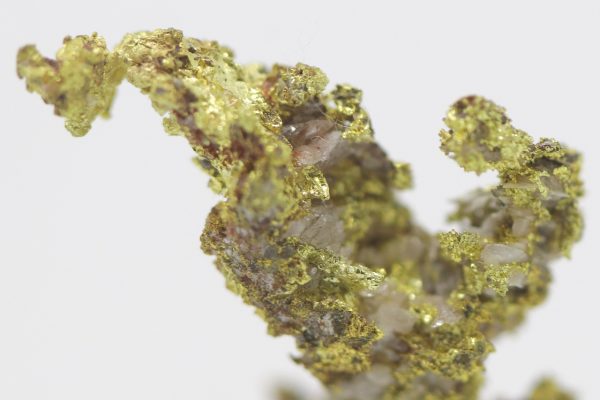 Gold - Image 7