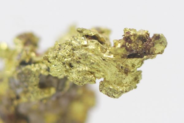 Gold - Image 8