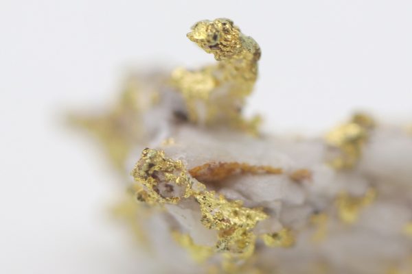 Gold - Image 6