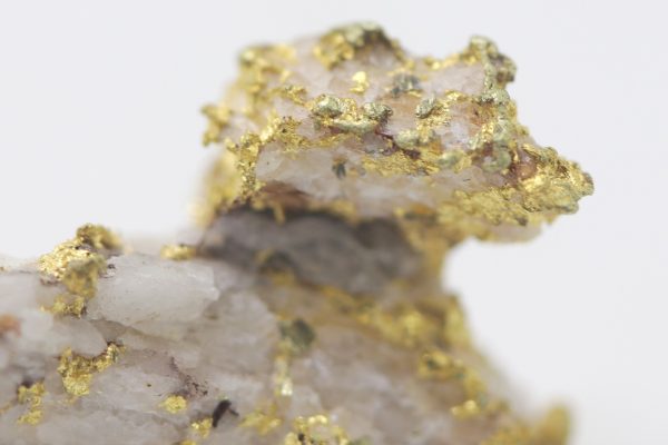 Gold - Image 7