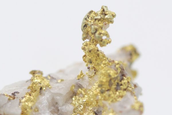 Gold - Image 8