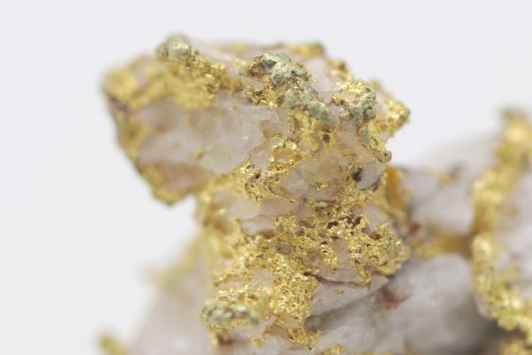 Gold - Image 9