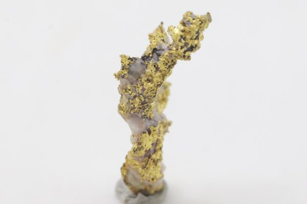 Gold - Image 4