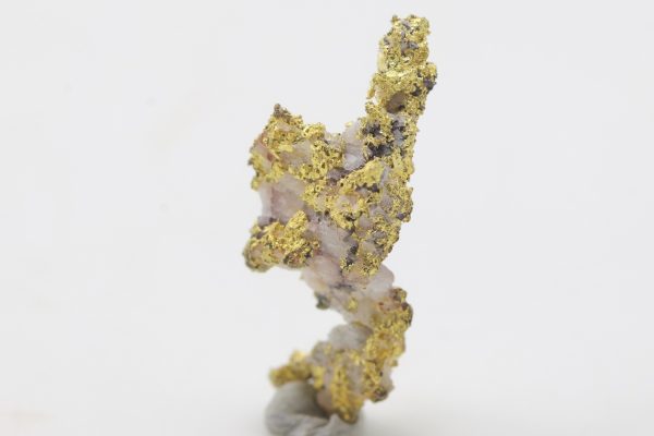 Gold - Image 5