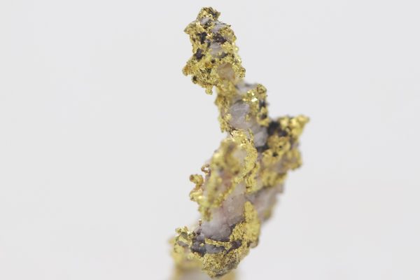Gold - Image 7