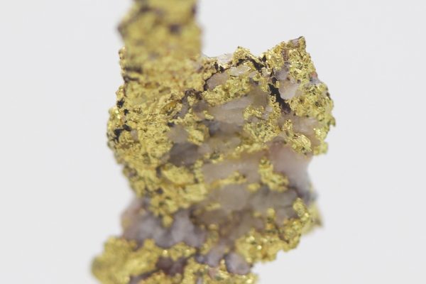 Gold - Image 8