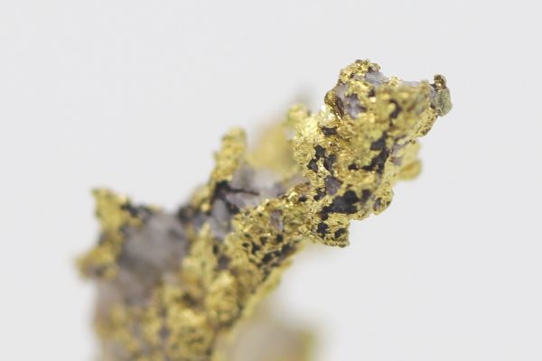 Gold - Image 10