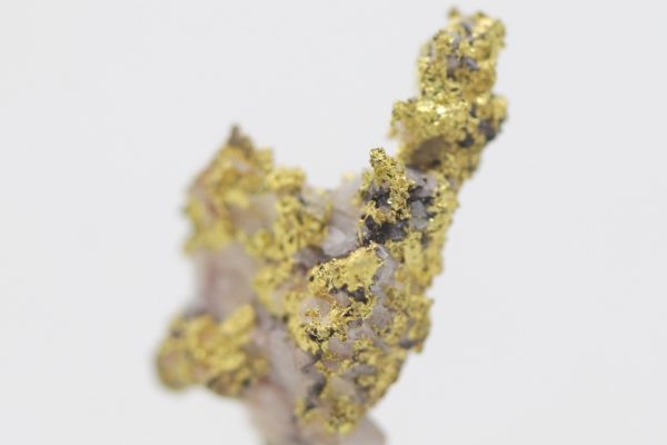 Gold - Image 11