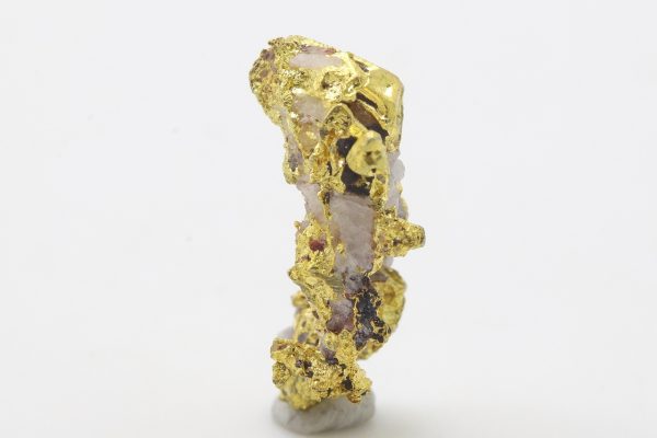 Gold - Image 5