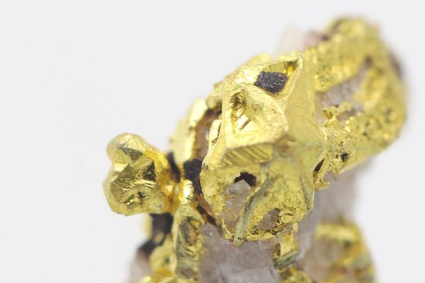 Gold - Image 6