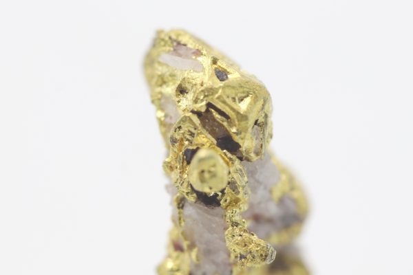 Gold - Image 7