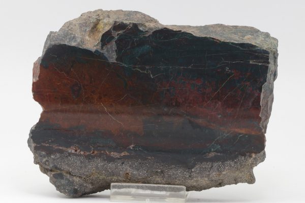 Jasper - Image 3